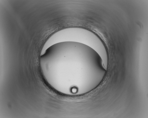 X0000111880017200908131643