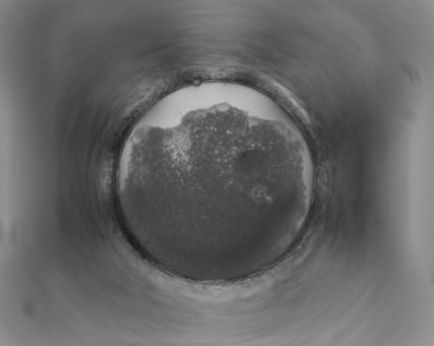 X0000111880018200908131643