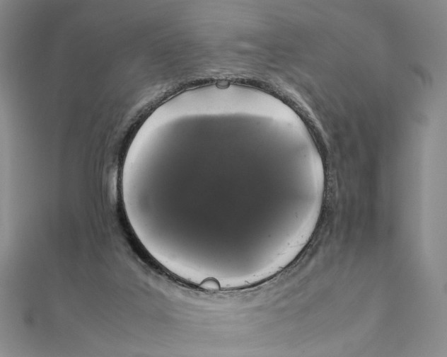 X0000111880019200908131643