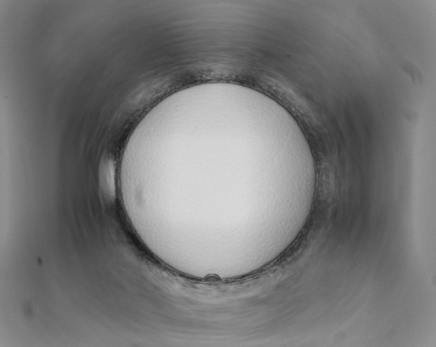 X0000111880022200908131643