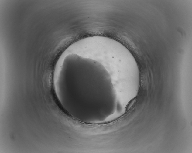 X0000111880023200908131643