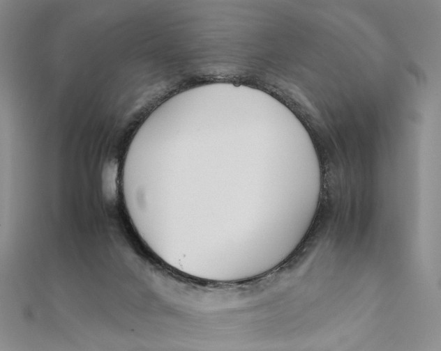 X0000111880024200908131643
