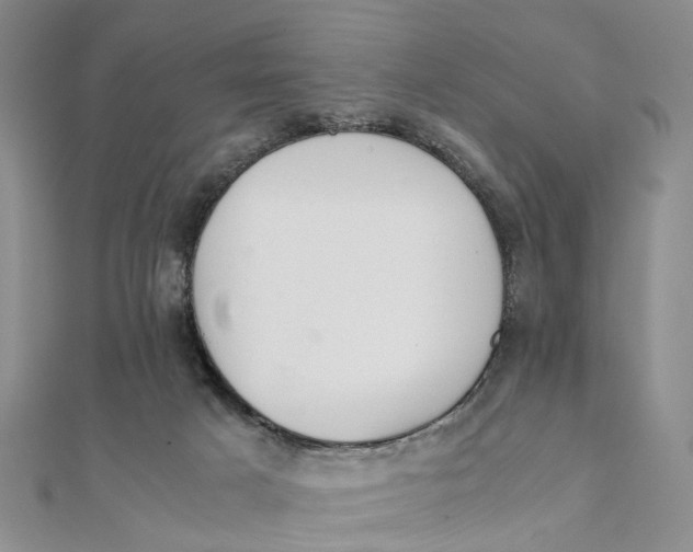 X0000111880025200908131643