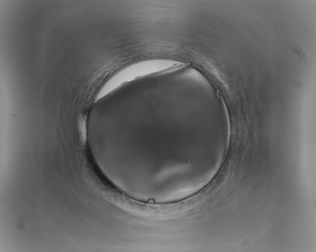 X0000111880027200908131643