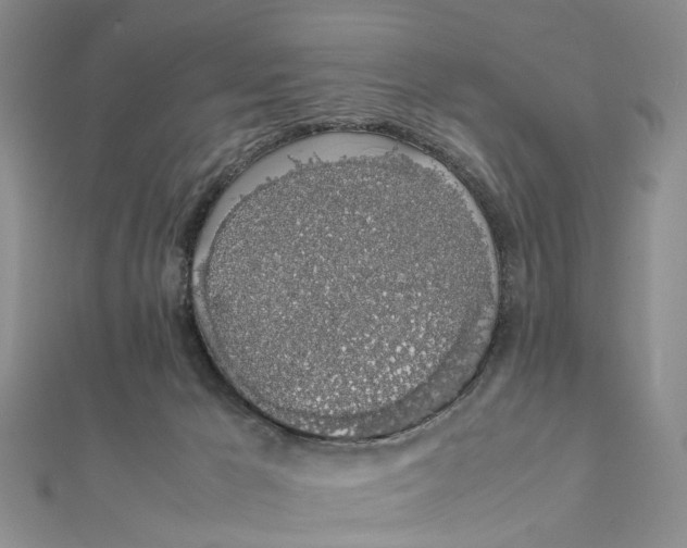 X0000111880029200908131643