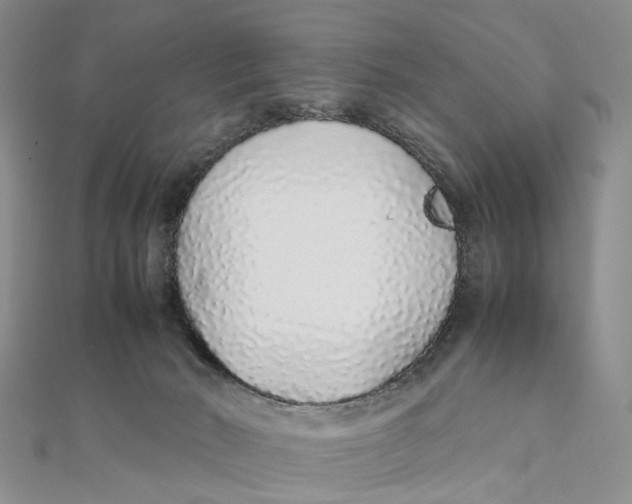 X0000111880030200908131643