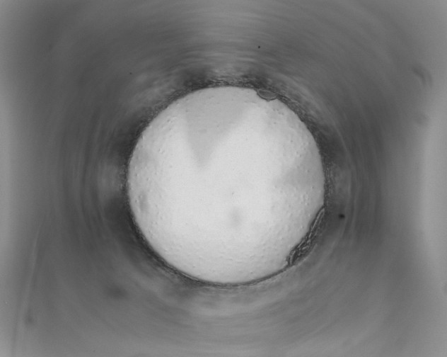 X0000111880033200908131643