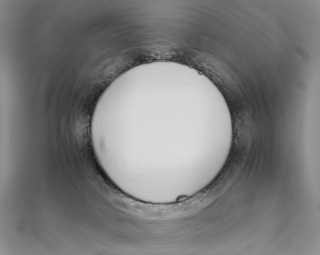 X0000111880034200908131643