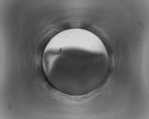 X0000111880035200908131643
