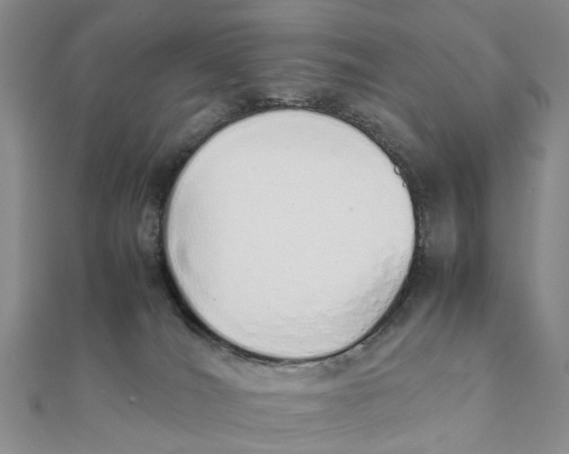 X0000111880036200908131643