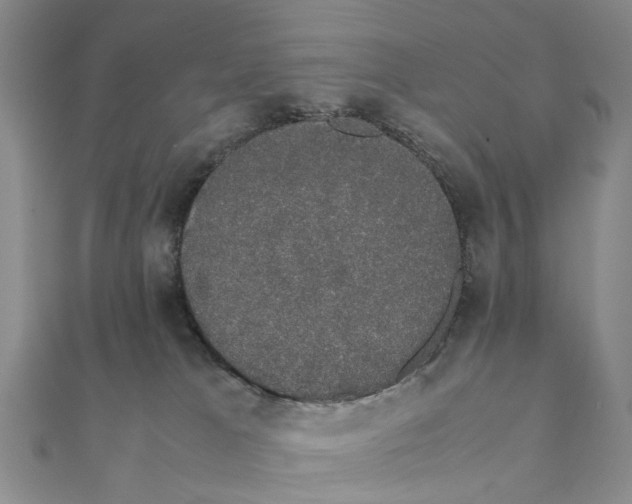 X0000111880037200908131643