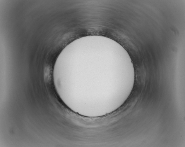 X0000111880038200908131643