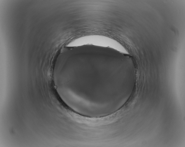 X0000111880039200908131643