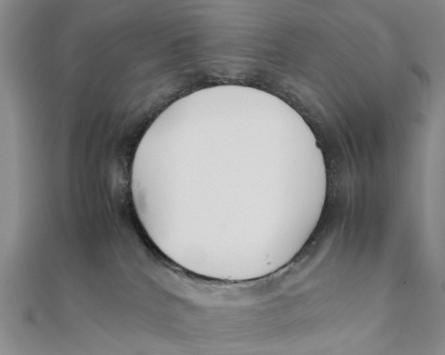 X0000111880040200908131643