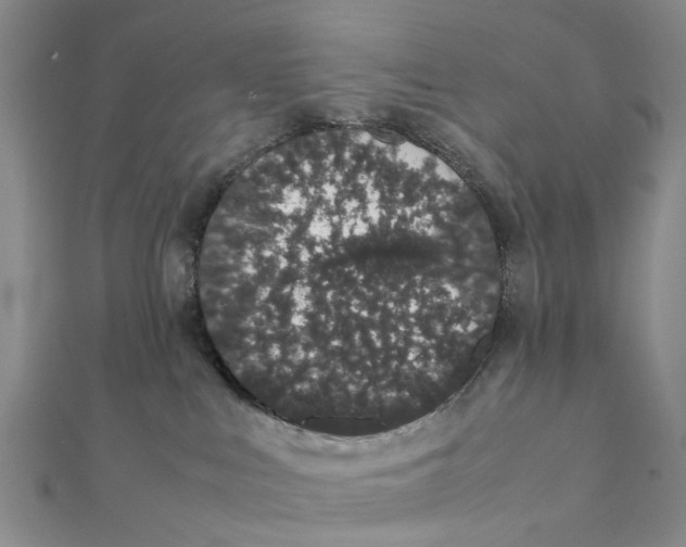 X0000111880043200908131643