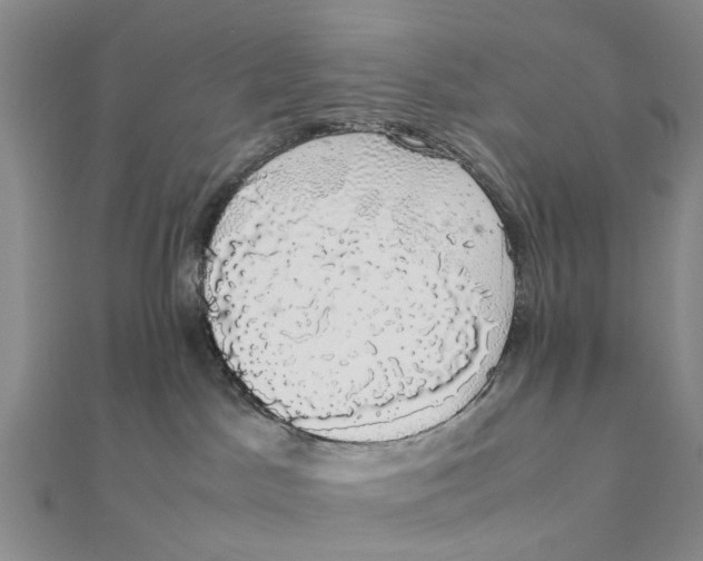 X0000111880045200908131643
