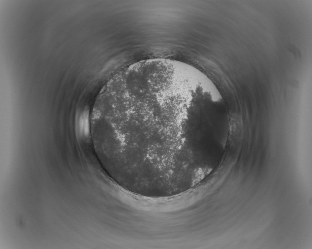 X0000111880046200908131643