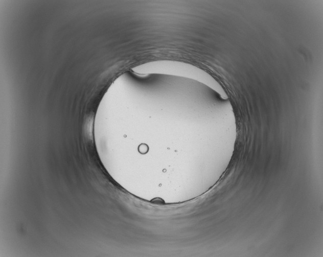 X0000111880047200908131643