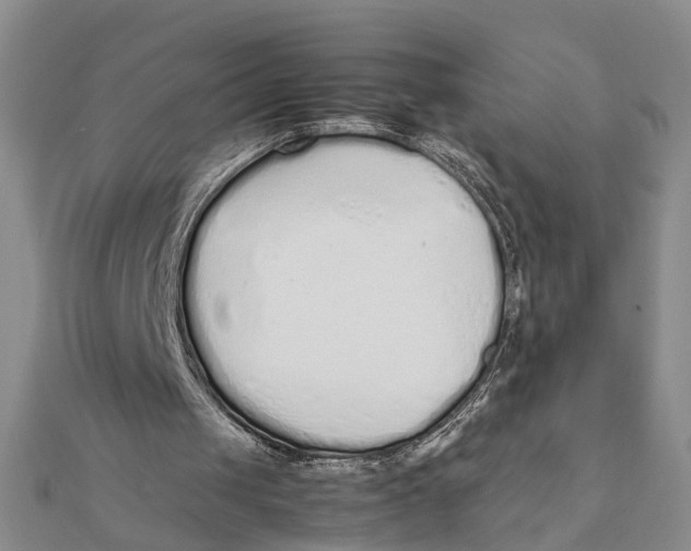 X0000111880049200908131642