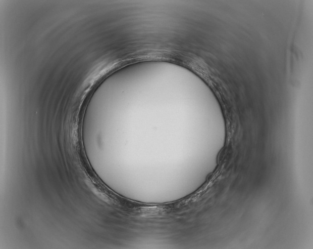 X0000111880050200908131642