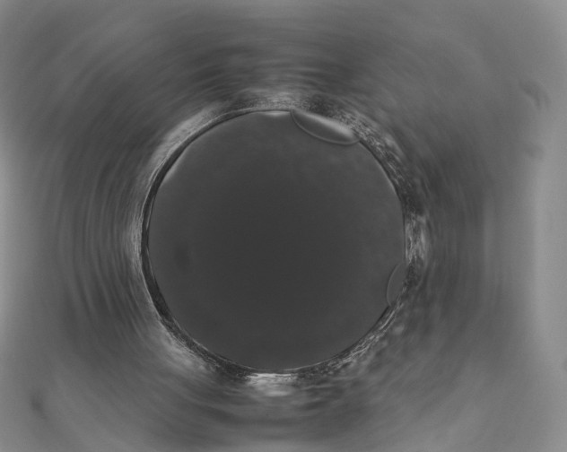 X0000111880051200908131642