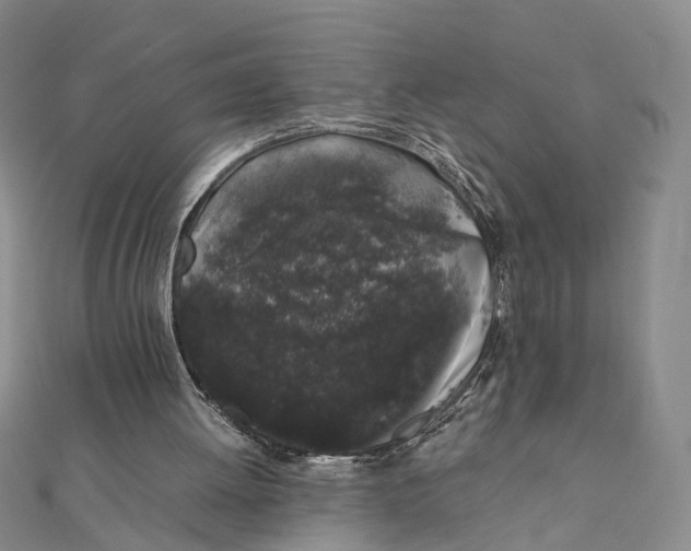 X0000111880052200908131642
