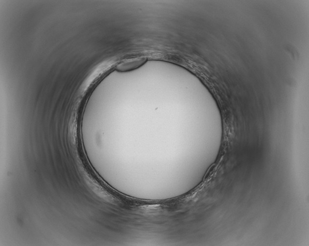 X0000111880054200908131642