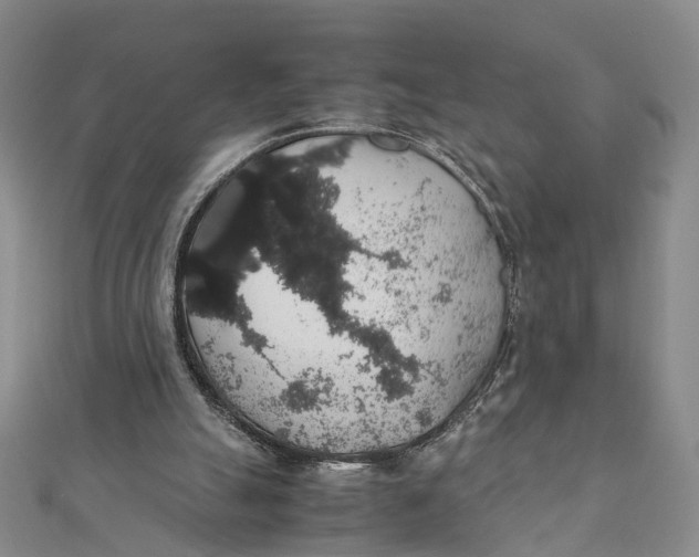 X0000111880055200908131642