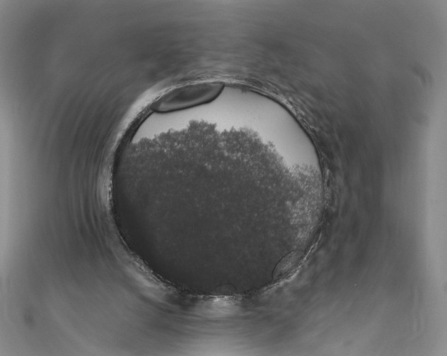 X0000111880056200908131642