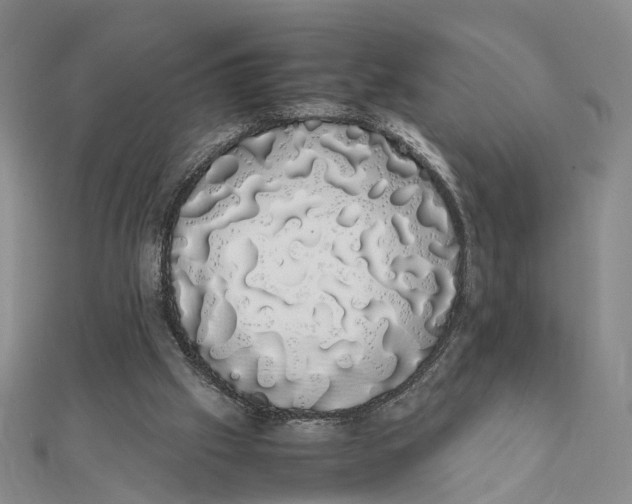 X0000111880057200908131642