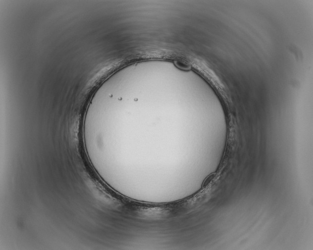 X0000111880058200908131642