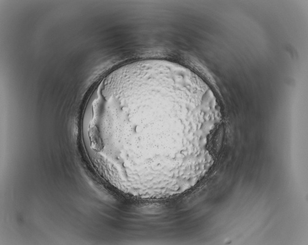 X0000111880059200908131642