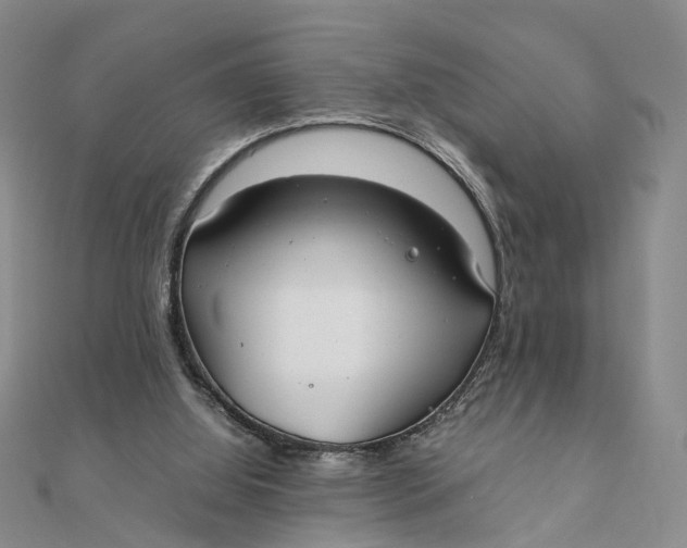 X0000111880060200908131642