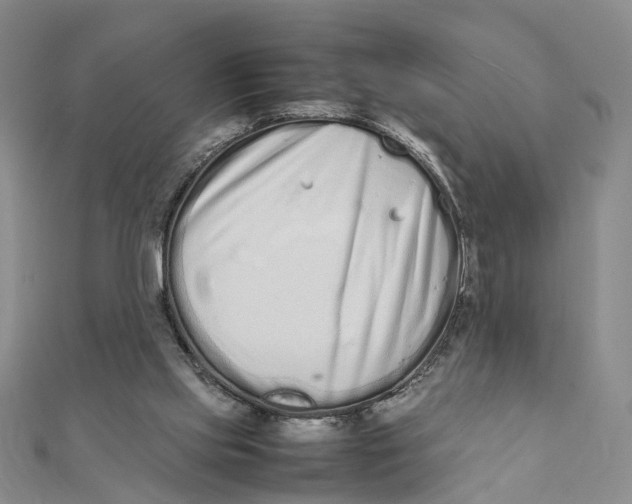 X0000111880061200908131642