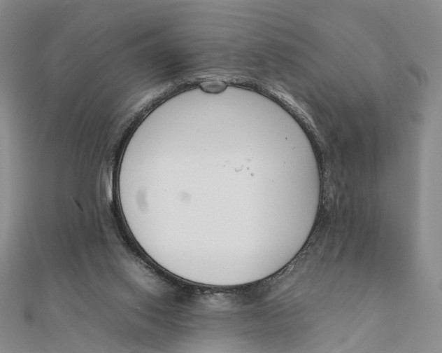X0000111880062200908131642
