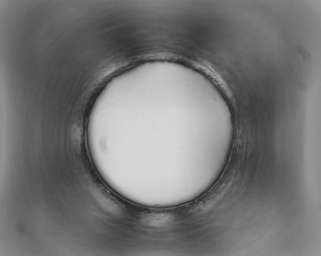 X0000111880063200908131642