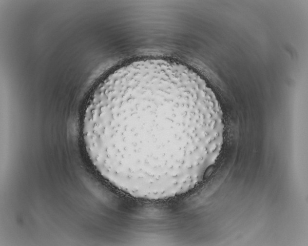 X0000111880064200908131642