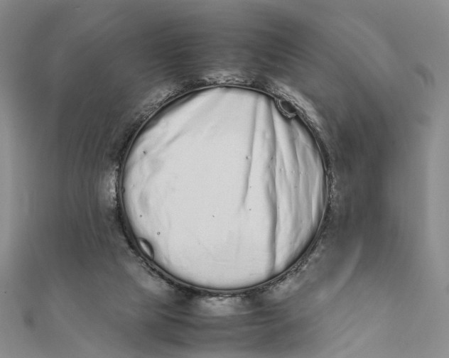 X0000111880065200908131642