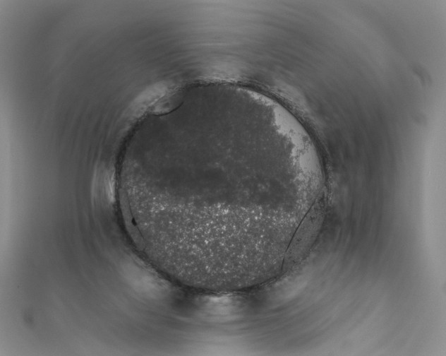 X0000111880068200908131642