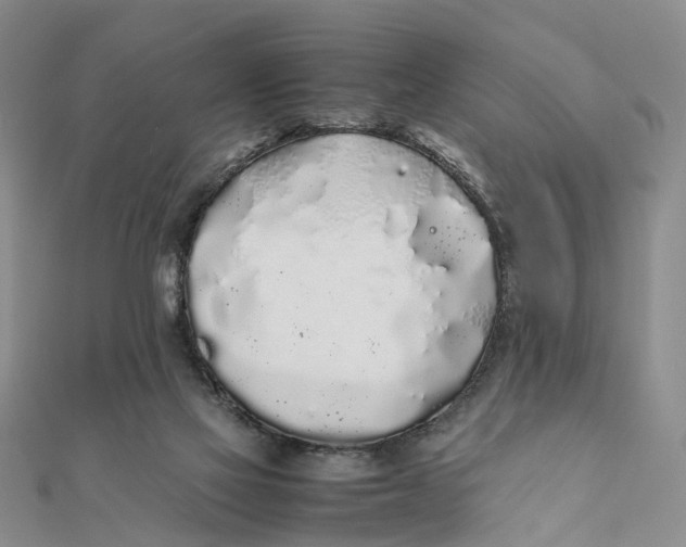 X0000111880069200908131642