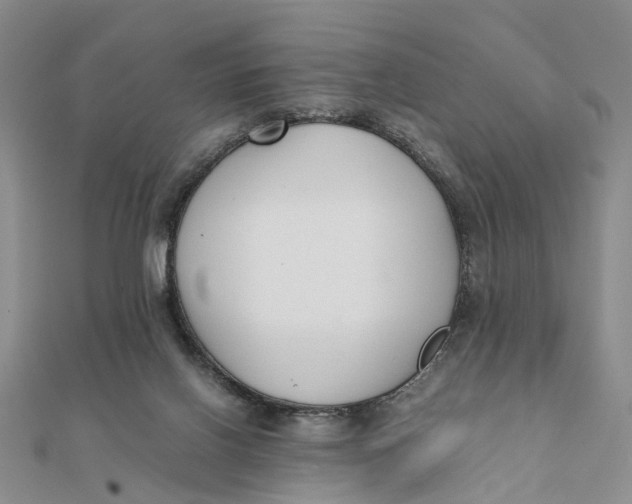 X0000111880070200908131642