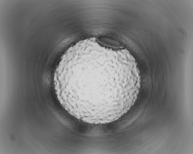 X0000111880072200908131642