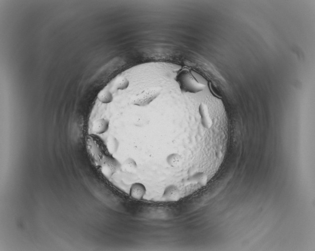 X0000111880073200908131642