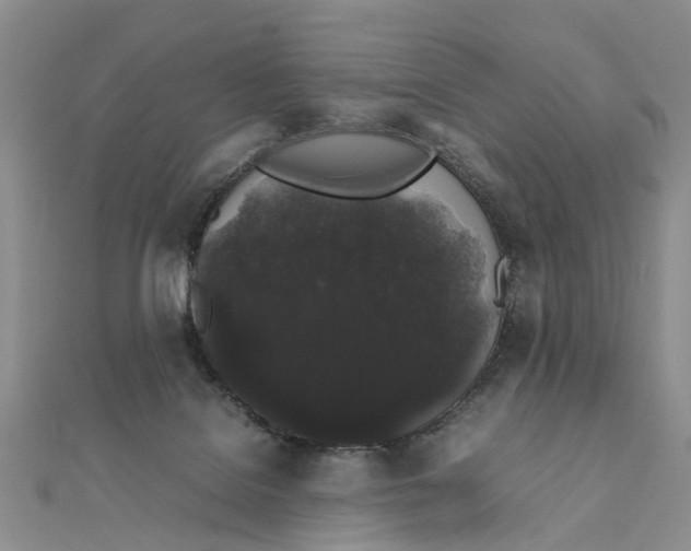X0000111880076200908131642