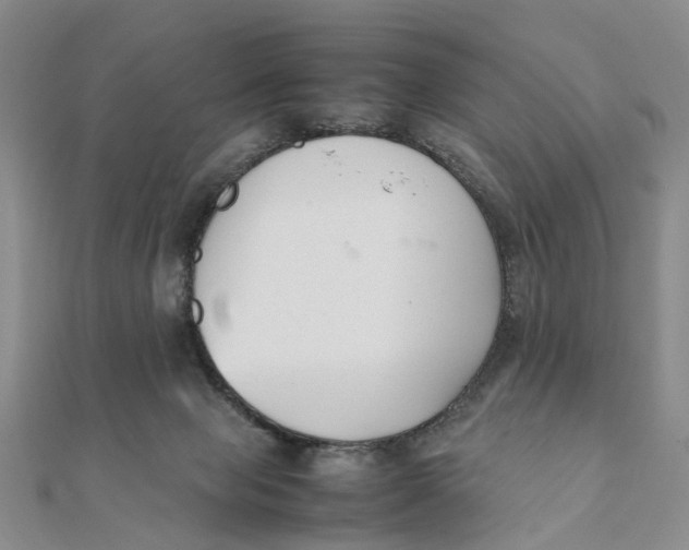 X0000111880077200908131642
