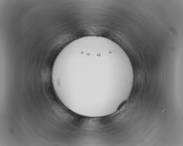 X0000111880078200908131642