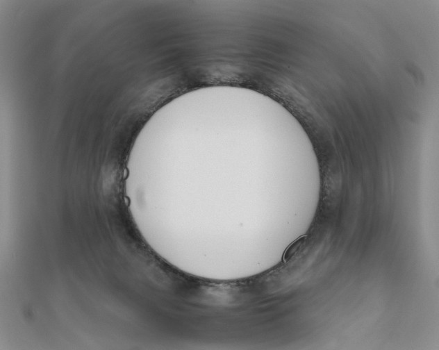X0000111880079200908131642