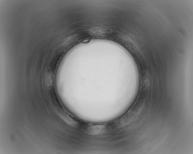 X0000111880081200908131642