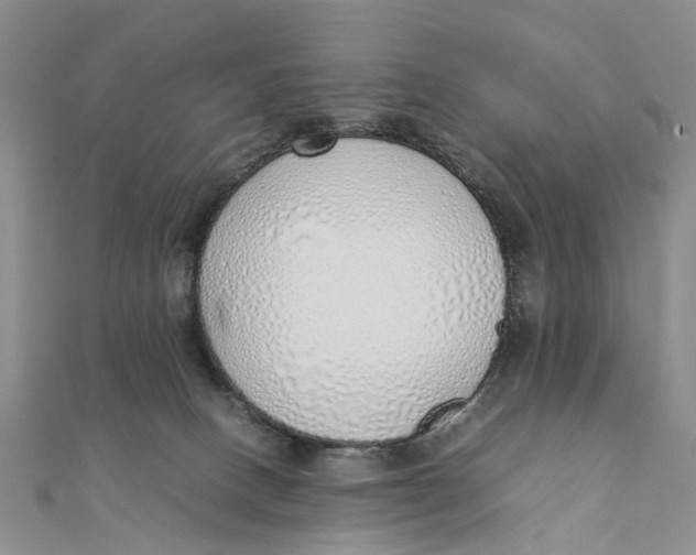 X0000111880082200908131642