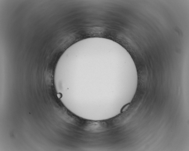 X0000111880083200908131642